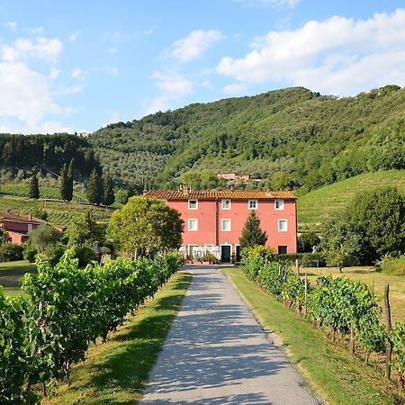 Agriturismo Le Murelle Lucca Buitenkant foto