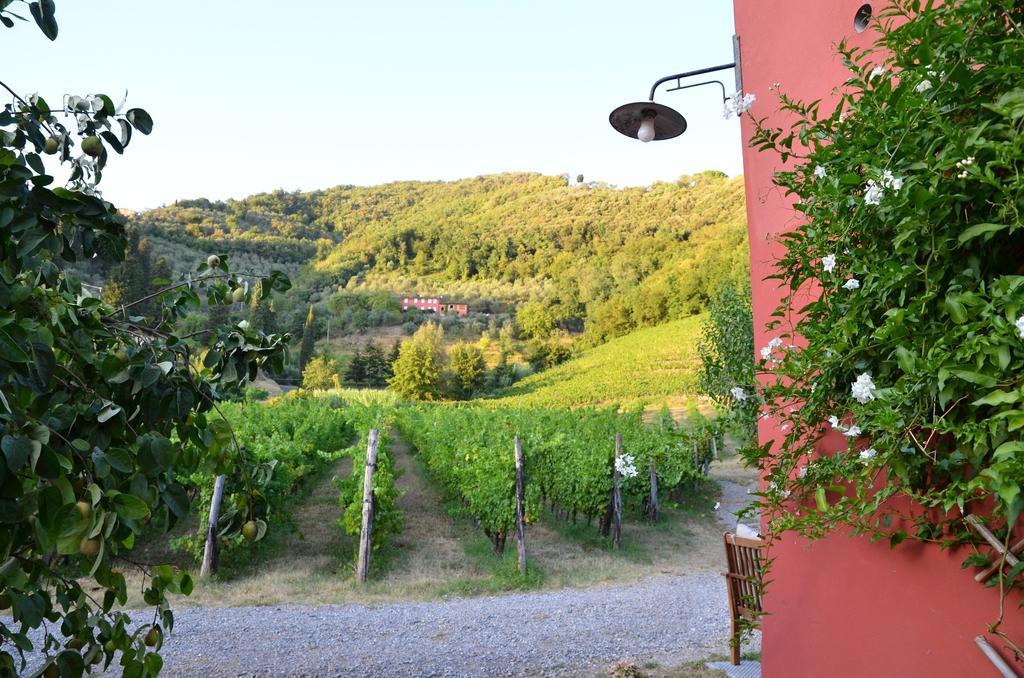 Agriturismo Le Murelle Lucca Buitenkant foto