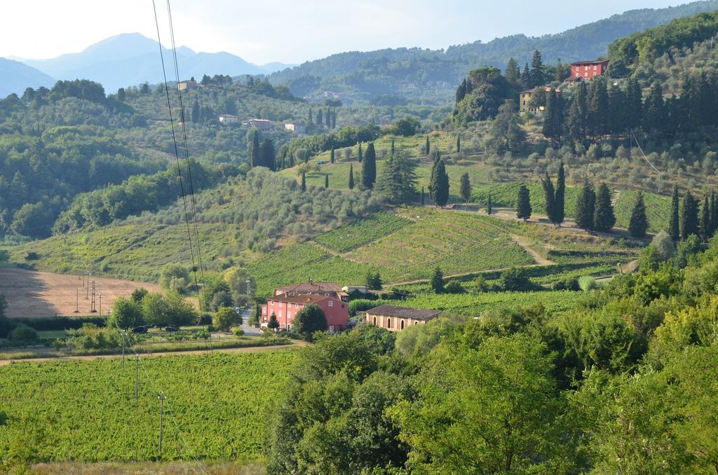 Agriturismo Le Murelle Lucca Buitenkant foto