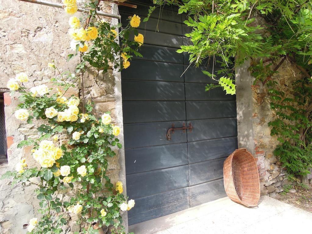 Agriturismo Le Murelle Lucca Buitenkant foto