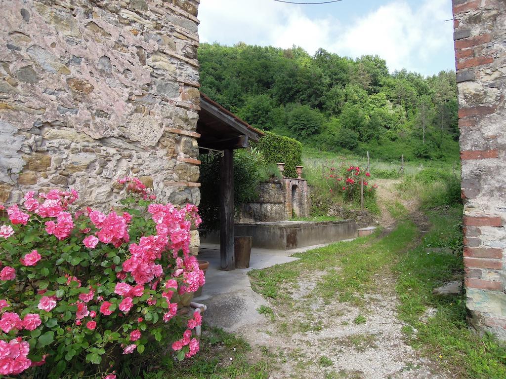 Agriturismo Le Murelle Lucca Buitenkant foto