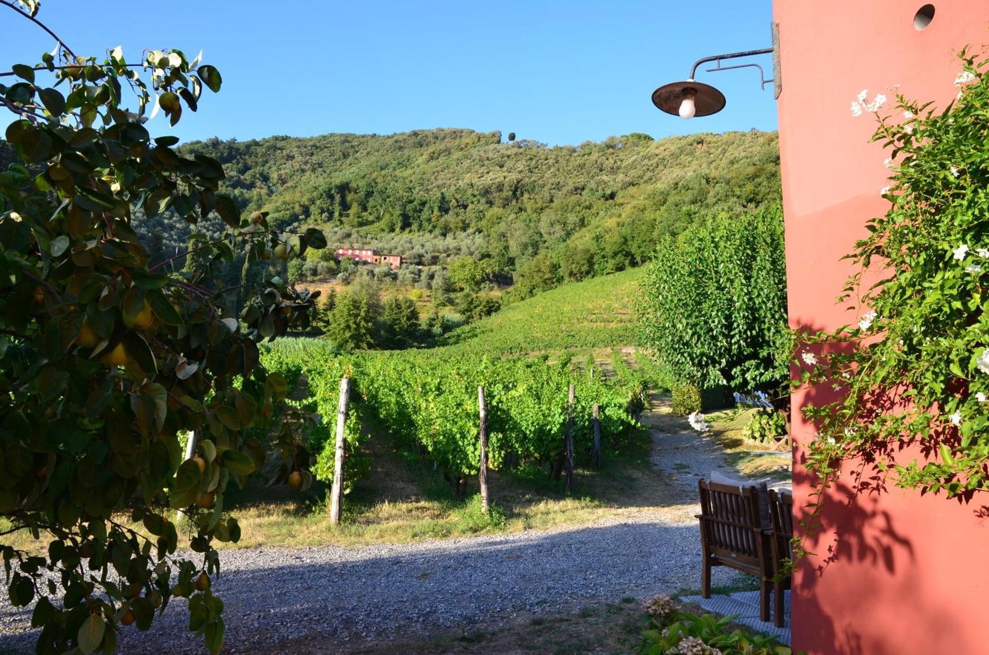 Agriturismo Le Murelle Lucca Buitenkant foto